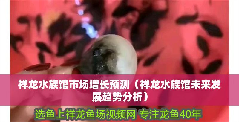 祥龍水族館市場增長預測（祥龍水族館未來發(fā)展趨勢分析）