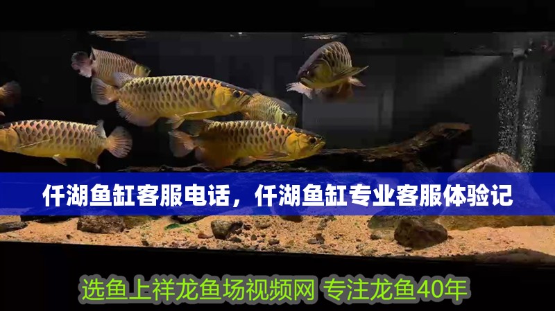 仟湖魚缸客服電話，仟湖魚缸專業客服體驗記