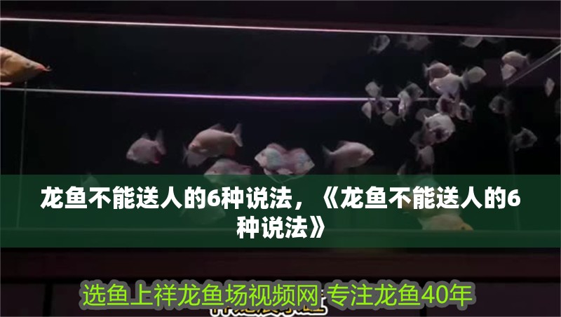龍魚不能送人的6種說法，《龍魚不能送人的6種說法》 龍魚不能送人的6種說法，《龍魚不能送人的6種說法》 水族問答