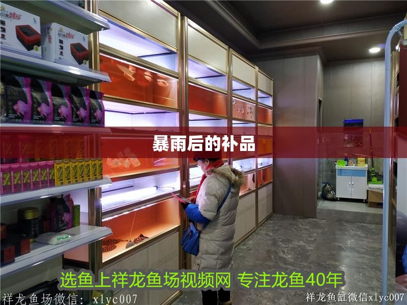 暴雨后的補品