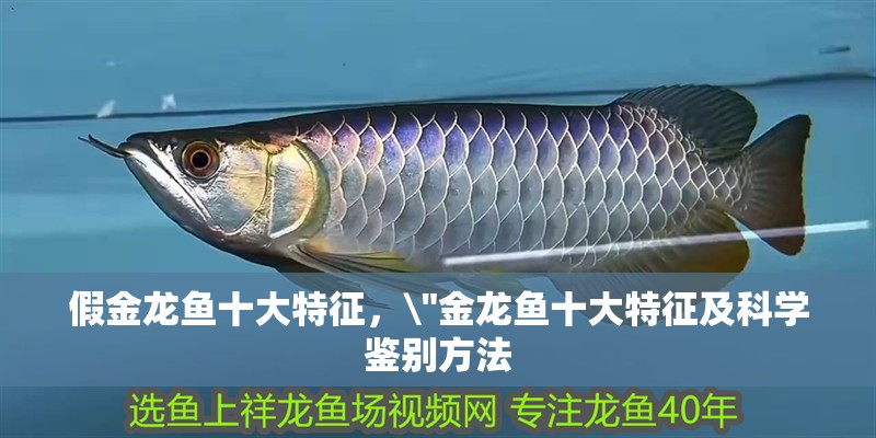 假金龍魚十大特征，\