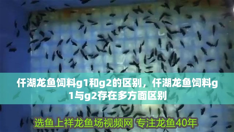 仟湖龍魚飼料g1和g2的區(qū)別，仟湖龍魚飼料g1與g2存在多方面區(qū)別