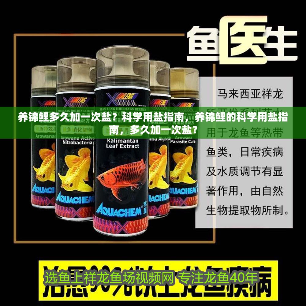 養錦鯉多久加一次鹽？科學用鹽指南，養錦鯉的科學用鹽指南，多久加一次鹽？