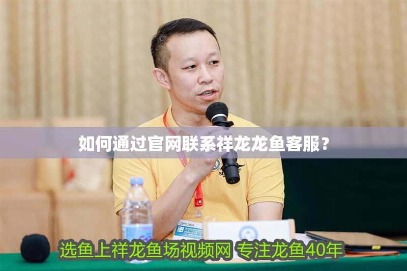 如何通過官網聯系祥龍龍魚客服？
