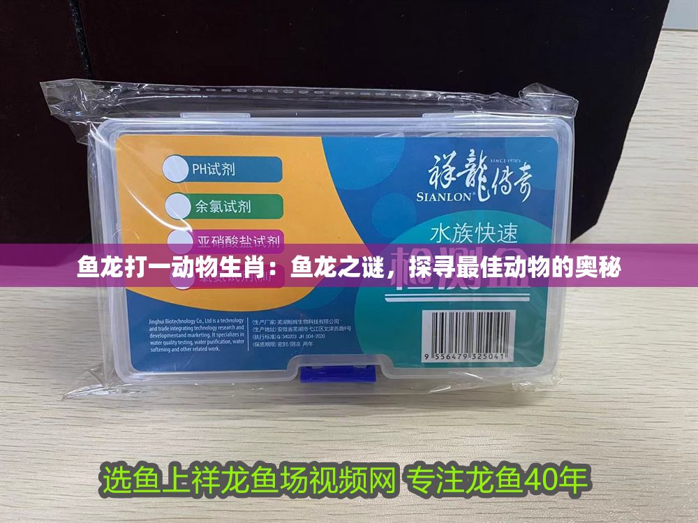 魚龍打一動物生肖：魚龍之謎，探尋最佳動物的奧秘