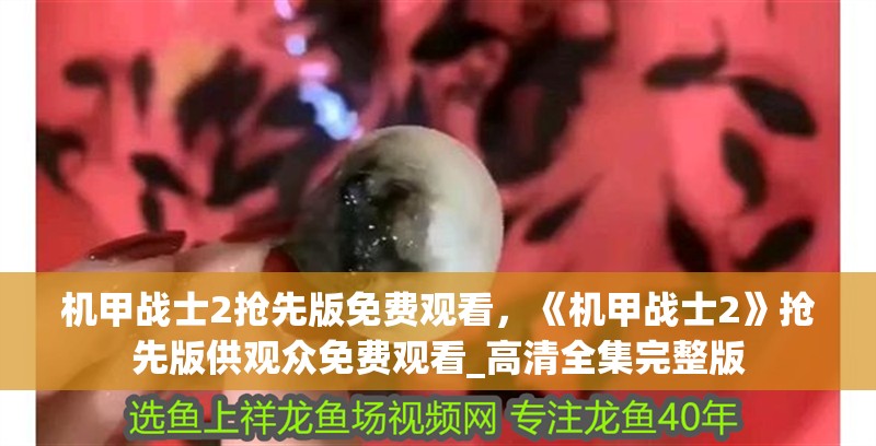 機甲戰士2搶先版免費觀看，《機甲戰士2》搶先版供觀眾免費觀看_高清全集完整版