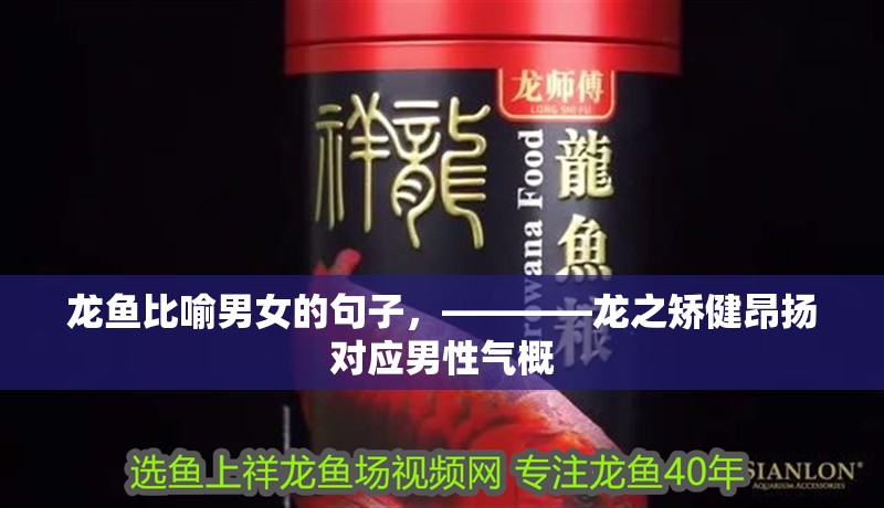 龍魚比喻男女的句子，————龍之矯健昂揚對應男性氣概