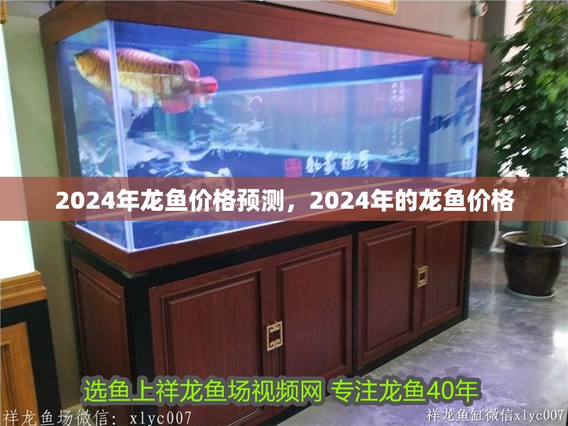 2024年龍魚價格預測，2024年的龍魚價格