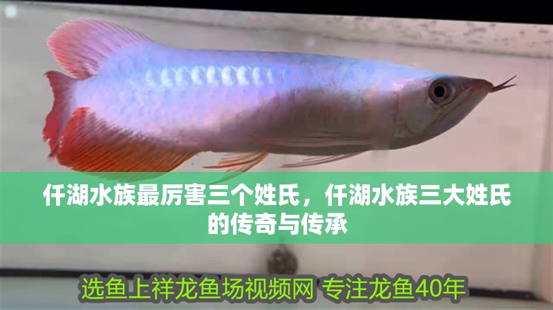 仟湖水族最厲害三個姓氏，仟湖水族三大姓氏的傳奇與傳承