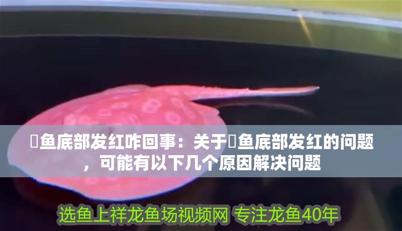 魟魚底部發(fā)紅咋回事：關(guān)于魟魚底部發(fā)紅的問題，可能有以下幾個原因解決問題