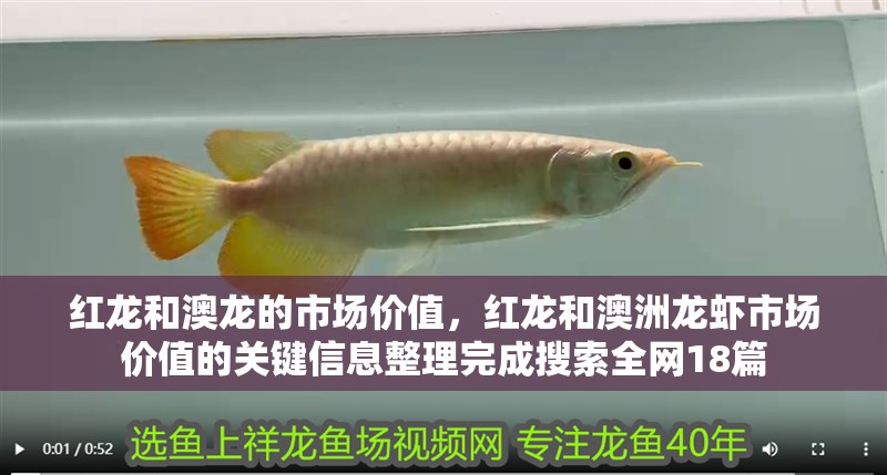紅龍和澳龍的市場價值，紅龍和澳洲龍蝦市場價值的關鍵信息整理完成搜索全網(wǎng)18篇