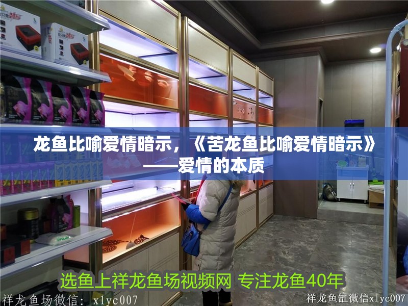龍魚比喻愛情暗示，《苦龍魚比喻愛情暗示》——愛情的本質