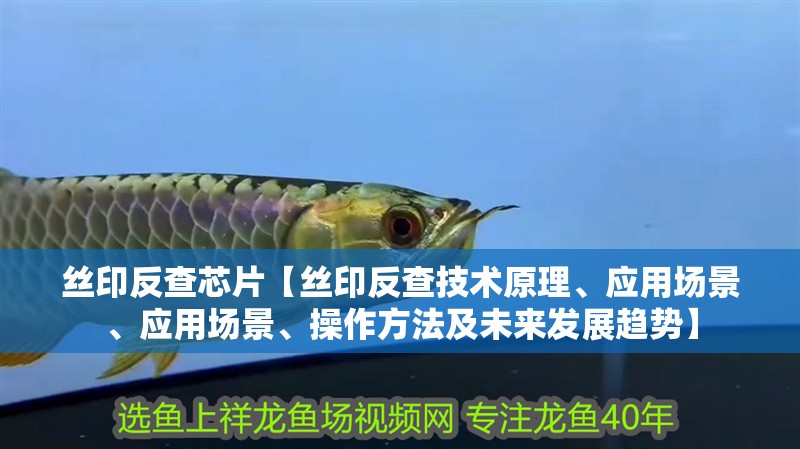 絲印反查芯片【絲印反查技術(shù)原理、應(yīng)用場景、應(yīng)用場景、操作方法及未來發(fā)展趨勢】