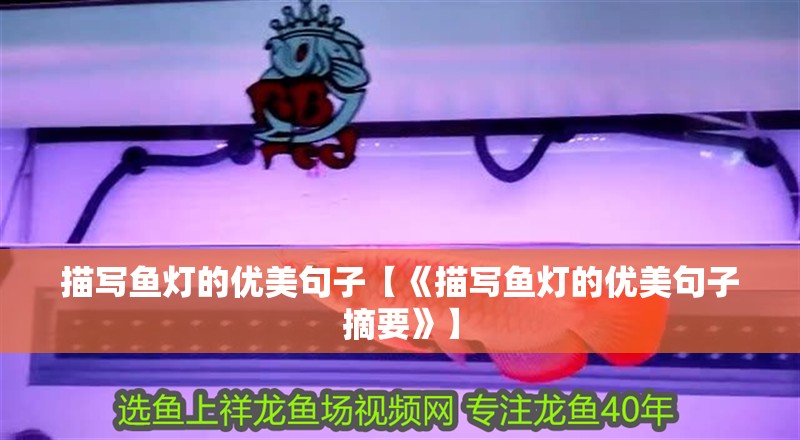 描寫魚燈的優(yōu)美句子【《描寫魚燈的優(yōu)美句子摘要》】