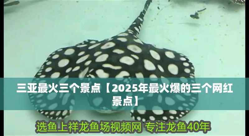 三亞最火三個景點【2025年最火爆的三個網紅景點】