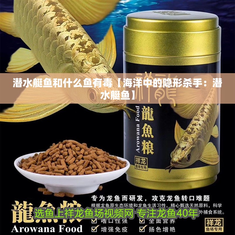潛水艇魚(yú)和什么魚(yú)有毒【海洋中的隱形殺手：潛水艇魚(yú)】