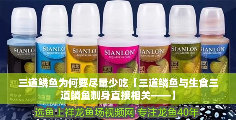 三道鱗魚為何要盡量少吃【三道鱗魚與生食三道鱗魚刺身直接相關——】