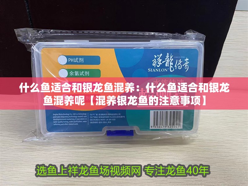 什么魚適合和銀龍魚混養：什么魚適合和銀龍魚混養呢【混養銀龍魚的注意事項】