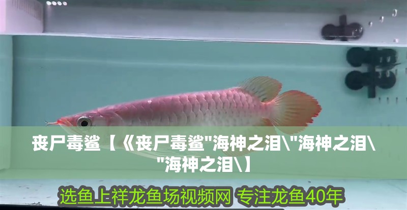 喪尸毒鯊【《喪尸毒鯊 喪尸毒鯊【《喪尸毒鯊 喪尸毒鯊【《喪尸毒鯊