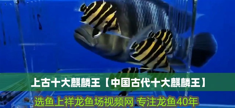 上古十大麒麟王【中國古代十大麒麟王】 上古十大麒麟王【中國古代十大麒麟王】 龍魚論壇