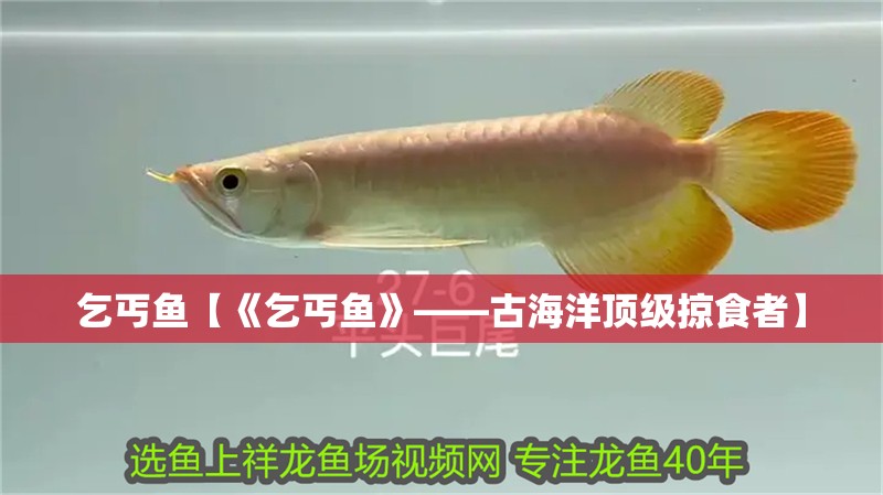 乞丐魚【《乞丐魚》——古海洋頂級掠食者】