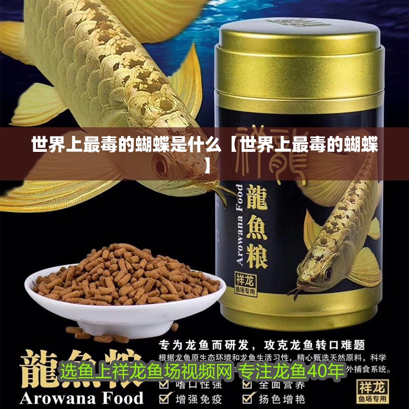 世界上最毒的蝴蝶是什么【世界上最毒的蝴蝶】