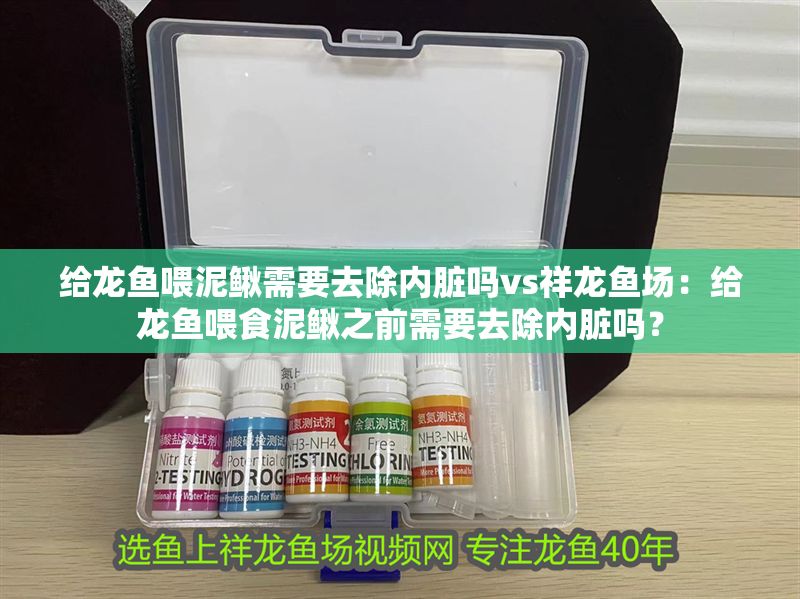 給龍魚喂泥鰍需要去除內臟嗎vs祥龍魚場：給龍魚喂食泥鰍之前需要去除內臟嗎？ 給龍魚喂泥鰍需要去除內臟嗎vs祥龍魚場：給龍魚喂食泥鰍之前需要去除內臟嗎？ vs祥龍魚場 第1張