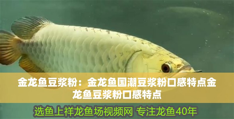 金龍魚豆漿粉：金龍魚國潮豆漿粉口感特點金龍魚豆漿粉口感特點