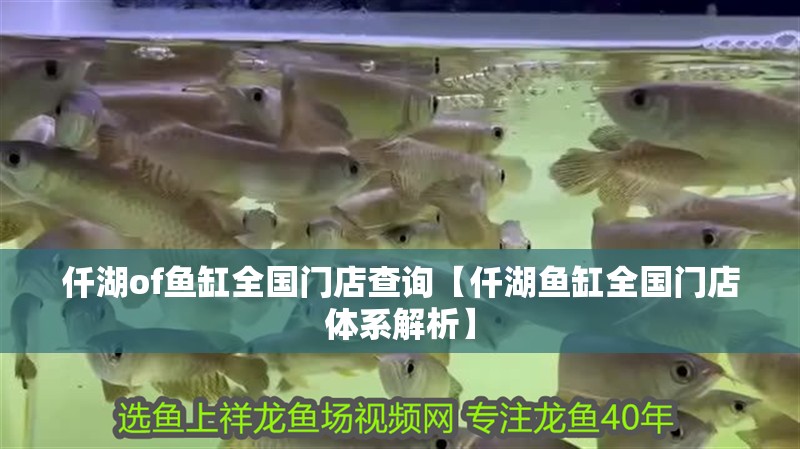 仟湖of魚缸全國(guó)門店查詢【仟湖魚缸全國(guó)門店體系解析】 仟湖of魚缸全國(guó)門店查詢【仟湖魚缸全國(guó)門店體系解析】 龍魚論壇