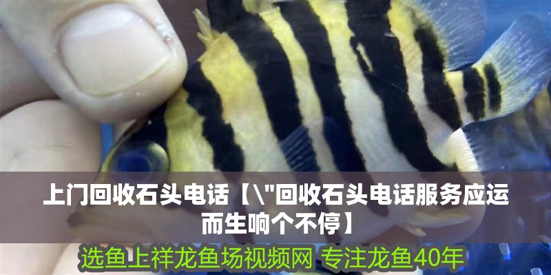 上門回收石頭電話【\