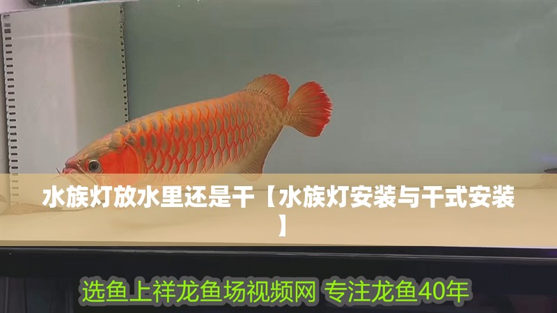 水族燈放水里還是干【水族燈安裝與干式安裝】