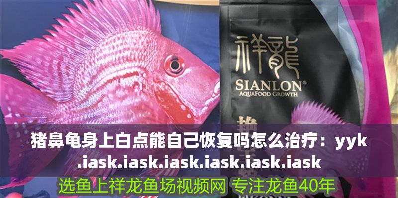 豬鼻龜身上白點能自己恢復嗎怎么治療：yyk.iask.iask.iask.iask.iask.iask
