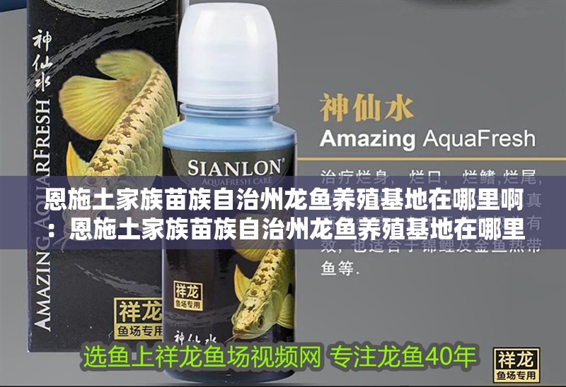 恩施土家族苗族自治州龍魚養殖基地在哪里啊：恩施土家族苗族自治州龍魚養殖基地在哪里啊【恩施州內多個水產養殖場可通過三種途徑探索本地資源】