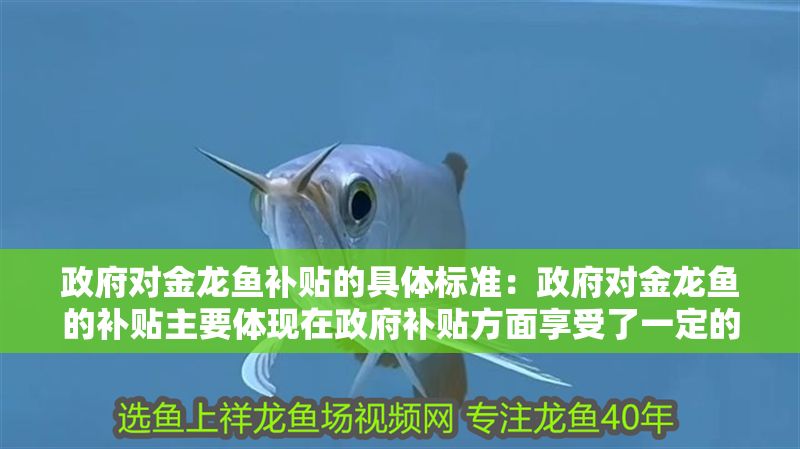 政府對(duì)金龍魚(yú)補(bǔ)貼的具體標(biāo)準(zhǔn)：政府對(duì)金龍魚(yú)的補(bǔ)貼主要體現(xiàn)在政府補(bǔ)貼方面享受了一定的支持