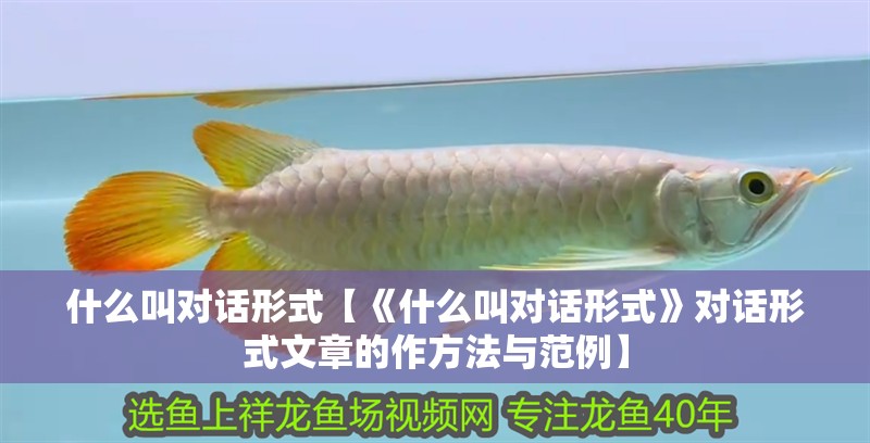 什么叫對話形式【《什么叫對話形式》對話形式文章的作方法與范例】 什么叫對話形式【《什么叫對話形式》對話形式文章的作方法與范例】 龍魚論壇