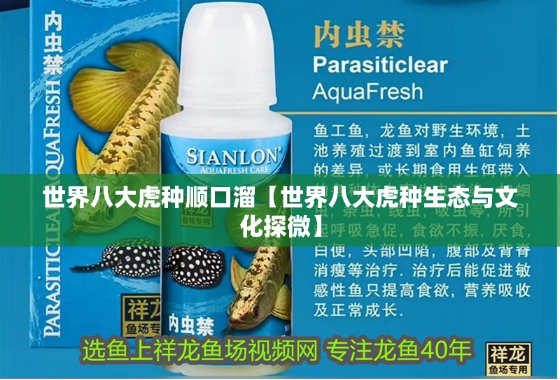 世界八大虎種順口溜【世界八大虎種生態與文化探微】 世界八大虎種順口溜【世界八大虎種生態與文化探微】 龍魚論壇