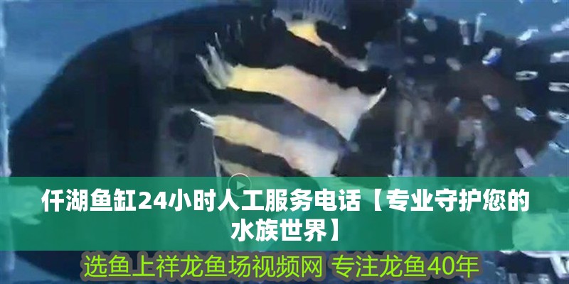 仟湖魚缸24小時人工服務電話【專業(yè)守護您的水族世界】