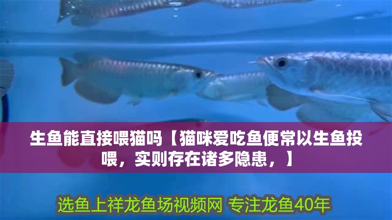 生魚能直接喂貓嗎【貓咪愛吃魚便常以生魚投喂，實(shí)則存在諸多隱患，】