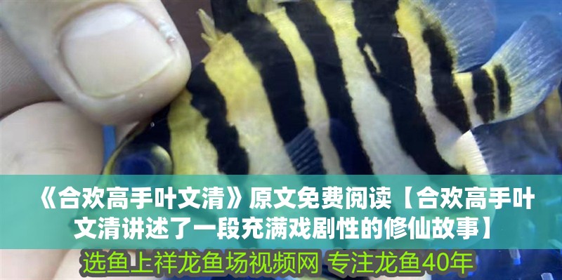 《合歡高手葉文清》原文免費閱讀【合歡高手葉文清講述了一段充滿戲劇性的修仙故事】 《合歡高手葉文清》原文免費閱讀【合歡高手葉文清講述了一段充滿戲劇性的修仙故事】 龍魚論壇