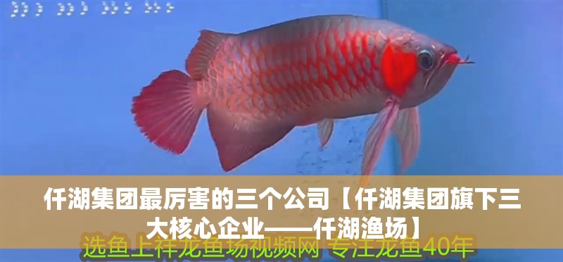 仟湖集團(tuán)最厲害的三個(gè)公司【仟湖集團(tuán)旗下三大核心企業(yè)——仟湖漁場(chǎng)】