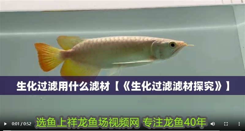 生化過濾用什么濾材【《生化過濾濾材探究》】