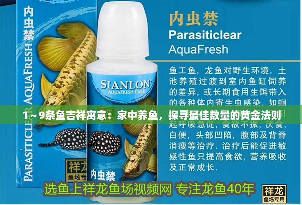 詳細閱讀:1~9條魚吉祥寓意:家中養魚,探尋最佳數量的黃金法則 1~9條魚吉祥寓意:家中養魚,探尋最佳數量的黃金法則