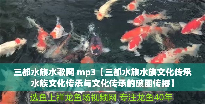 三都水族水歌網 mp3【三都水族水族文化傳承水族文化傳承與文化傳承的破圈傳播】