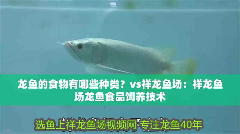 龍魚(yú)的食物有哪些種類(lèi)？vs祥龍魚(yú)場(chǎng)：祥龍魚(yú)場(chǎng)龍魚(yú)食品飼養(yǎng)技術(shù) 龍魚(yú)的食物有哪些種類(lèi)？vs祥龍魚(yú)場(chǎng)：祥龍魚(yú)場(chǎng)龍魚(yú)食品飼養(yǎng)技術(shù) vs祥龍魚(yú)場(chǎng) 第1張