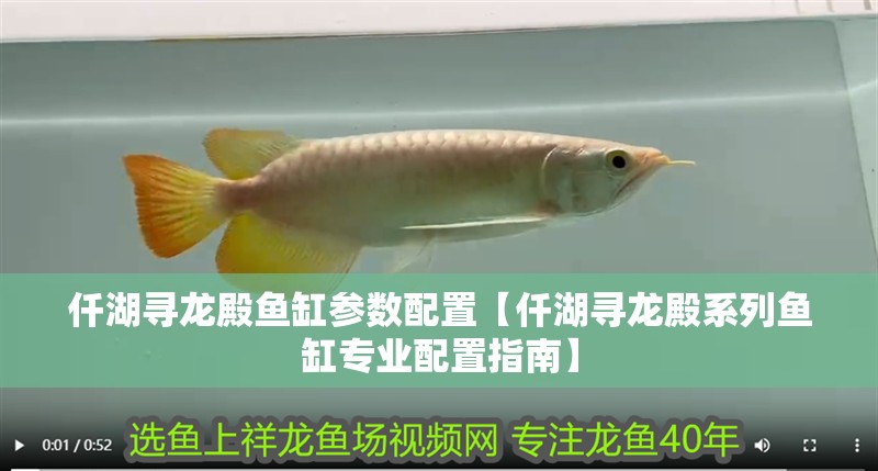 仟湖尋龍殿魚(yú)缸參數(shù)配置【仟湖尋龍殿系列魚(yú)缸專業(yè)配置指南】