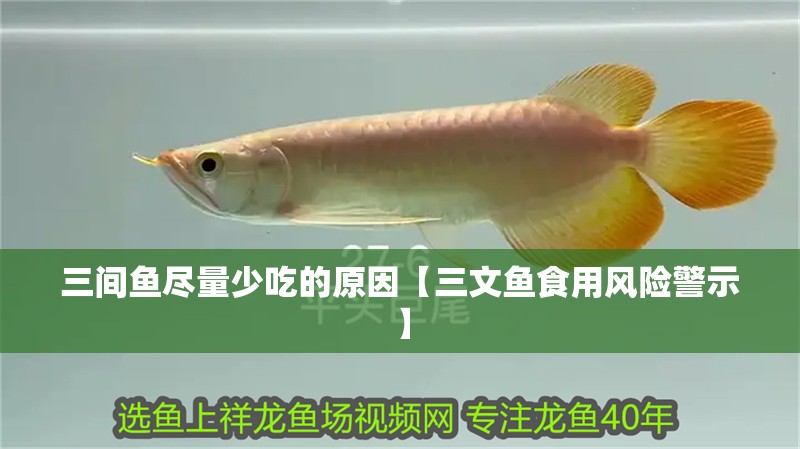 三間魚盡量少吃的原因【三文魚食用風險警示】 三間魚盡量少吃的原因【三文魚食用風險警示】 龍魚論壇