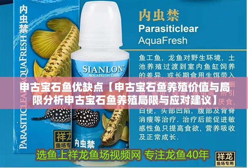 申古寶石魚(yú)優(yōu)缺點(diǎn)【申古寶石魚(yú)養(yǎng)殖價(jià)值與局限分析申古寶石魚(yú)養(yǎng)殖局限與應(yīng)對(duì)建議】