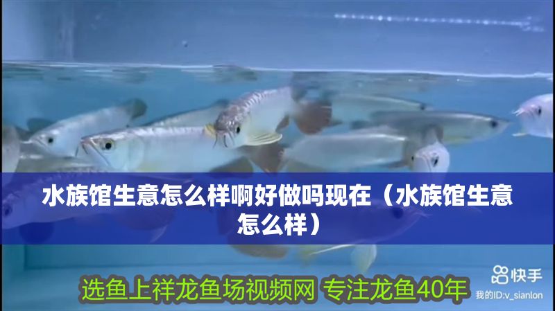 水族館生意怎么樣啊好做嗎現(xiàn)在（水族館生意怎么樣）
