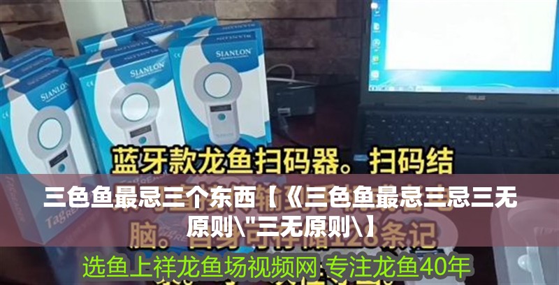 三色魚最忌三個(gè)東西【《三色魚最忌三忌三無原則\