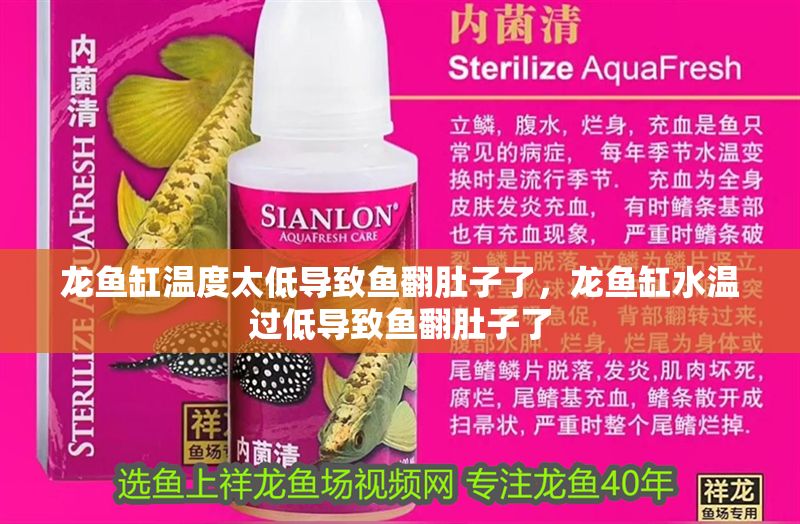 龍魚缸溫度太低導致魚翻肚子了，龍魚缸水溫過低導致魚翻肚子了